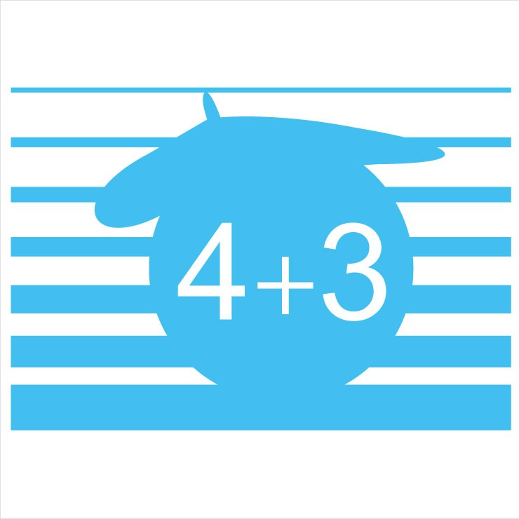 4PLUS3 BLEU