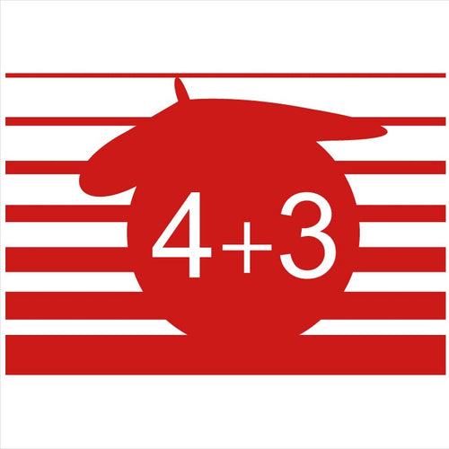 4PLUS3 ROUGE