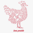 POULETTE COL V BLANC